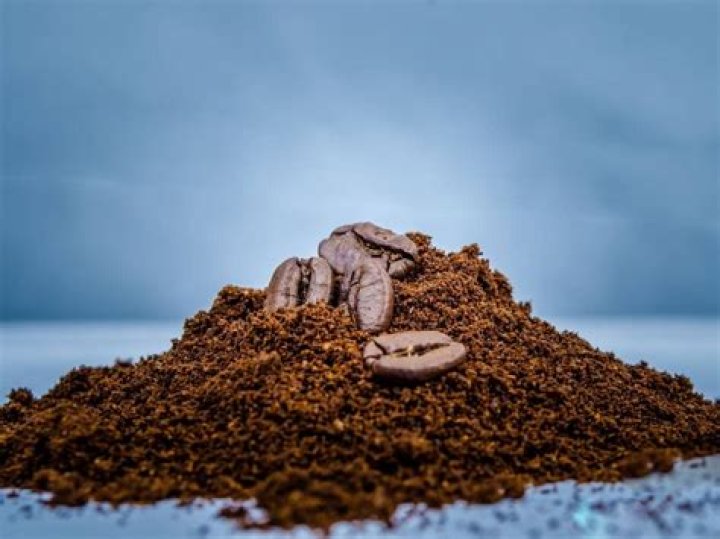 Can I throw coffee grounds on my lawn?