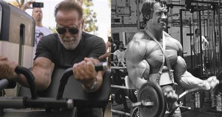What movies did Arnold Schwarzenegger turn down?